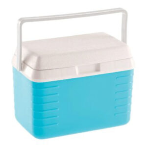 Ice Cooler With Lid And Handle – 5L (White and Blue)